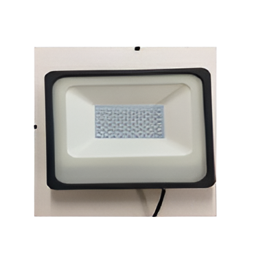 100W GM Model Flood Light